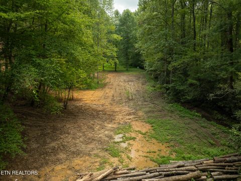 Tiny photo for 56 Ardell Way, Cosby, TN 37722 (MLS # 1313137)