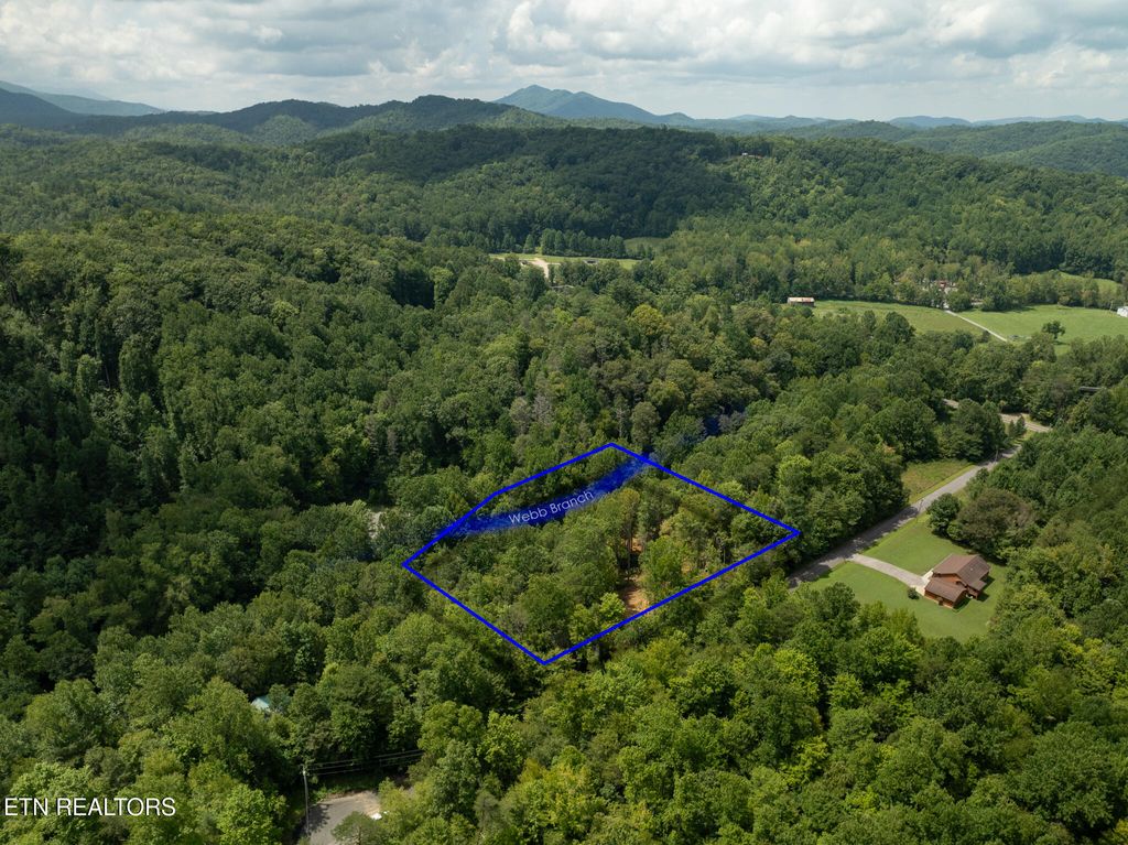 Photo of 56 Ardell Way, Cosby, TN 37722 (MLS # 1313137)