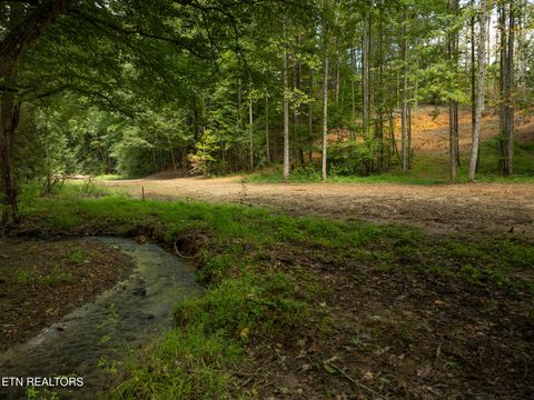 Tiny photo for 56 Ardell Way, Cosby, TN 37722 (MLS # 1313137)