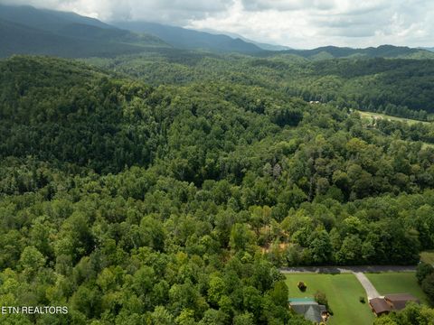 Tiny photo for 56 Ardell Way, Cosby, TN 37722 (MLS # 1313137)