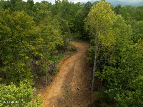 Tiny photo for 56 Ardell Way, Cosby, TN 37722 (MLS # 1313137)