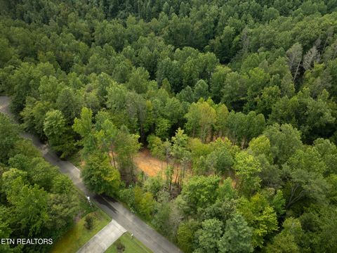 Tiny photo for 56 Ardell Way, Cosby, TN 37722 (MLS # 1313137)