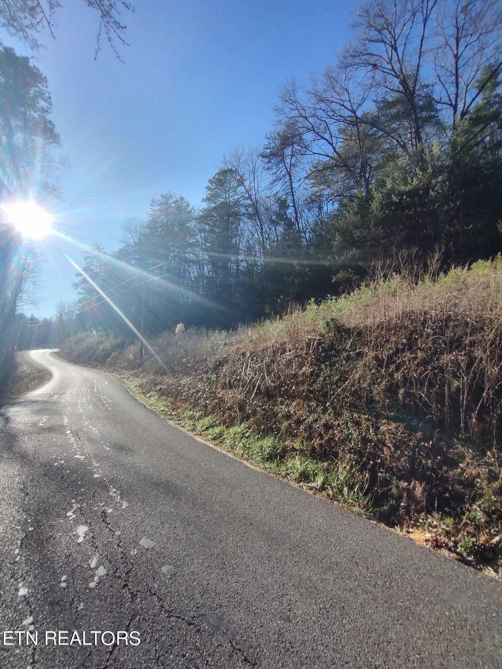 Photo of 0 Steer Creek Rd, Tellico Plains, TN 37385 (MLS # 1250902)