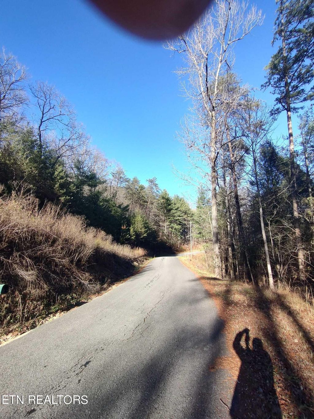 Photo of 0 Steer Creek Rd, Tellico Plains, TN 37385 (MLS # 1250902)