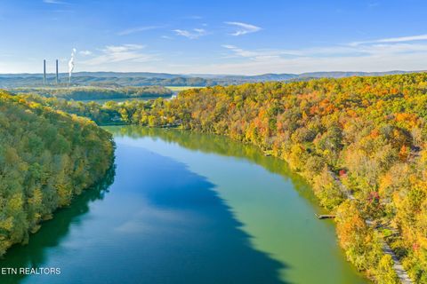 Tiny photo for 197 Lakecrest Drive Dr, Harriman, TN 37748 (MLS # 1321106)