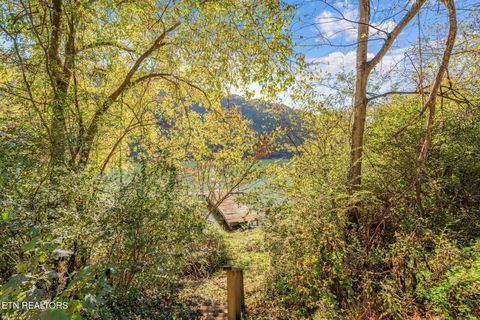 Tiny photo for 197 Lakecrest Drive Dr, Harriman, TN 37748 (MLS # 1321106)