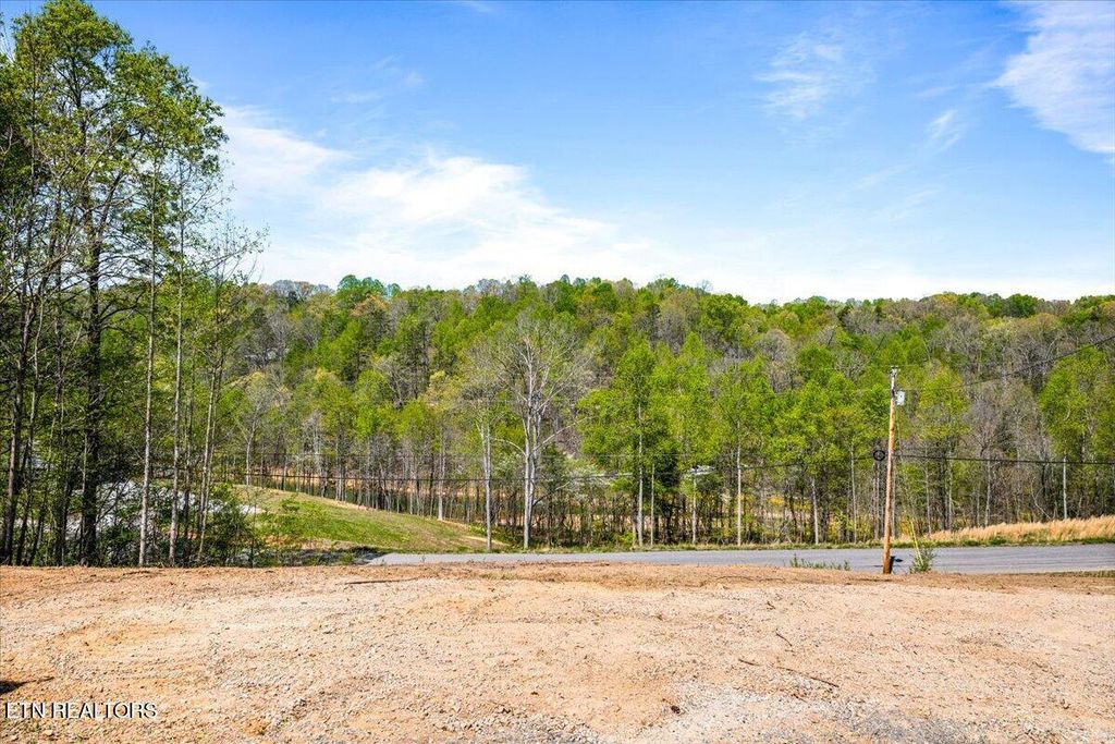Photo of 2332 Cove Pointe Rd, LaFollette, TN 37766 (MLS # 1336625)