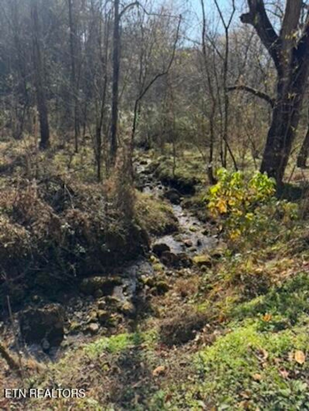 Photo of Parcel 053 050.00 Obes Branch Rd, Sevierville, TN 37876 (MLS # 1334244)