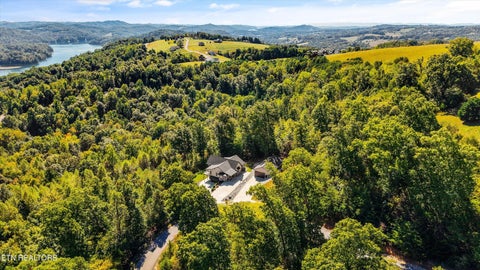 Tiny photo for 256 Feldspar Rd, New Tazewell, TN 37825 (MLS # 1357828)