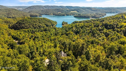 Tiny photo for 256 Feldspar Rd, New Tazewell, TN 37825 (MLS # 1357828)