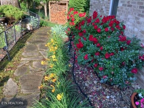 Tiny photo for 891 Yoakum Hollow Rd, Jacksboro, TN 37757 (MLS # 1330468)