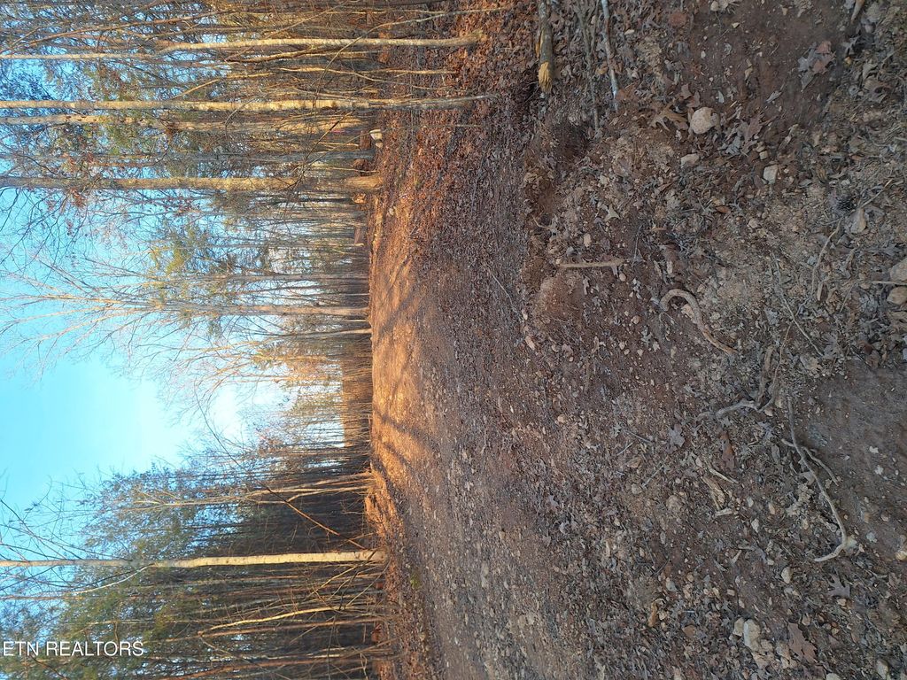 Photo of 14 Mecca Pike, Tellico Plains, TN 37385 (MLS # 1330758)