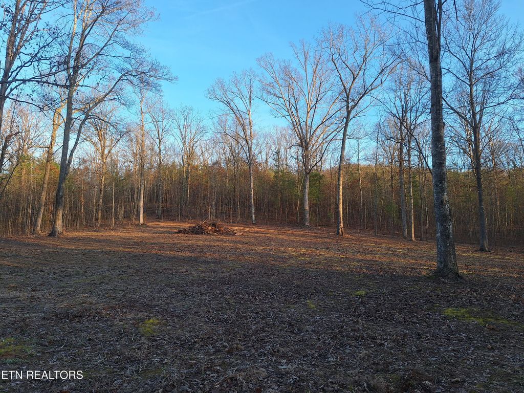 Photo of 14 Mecca Pike, Tellico Plains, TN 37385 (MLS # 1330758)