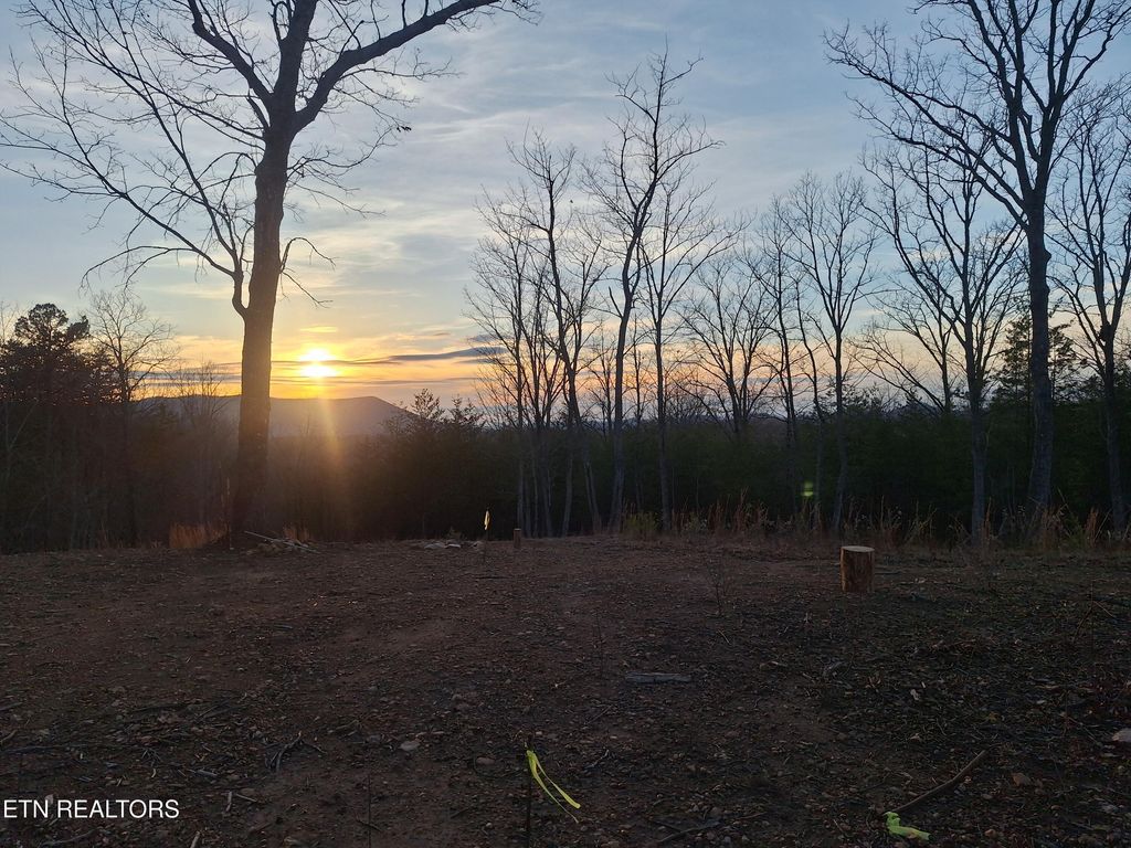 Photo of 14 Mecca Pike, Tellico Plains, TN 37385 (MLS # 1330758)