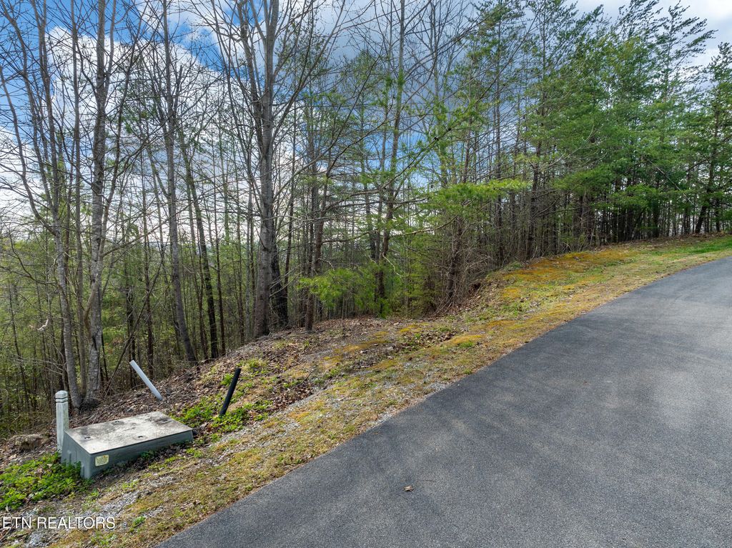 Photo of 227 Black Powder Court, Walland, TN 37886 (MLS # 1294880)