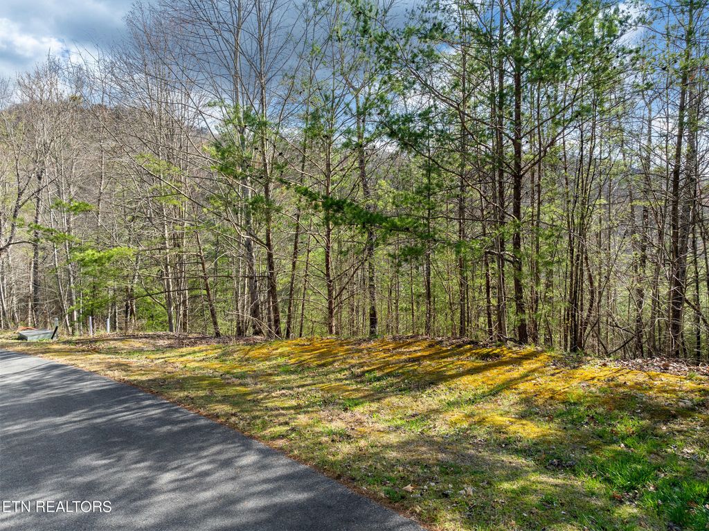 Photo of 227 Black Powder Court, Walland, TN 37886 (MLS # 1294880)