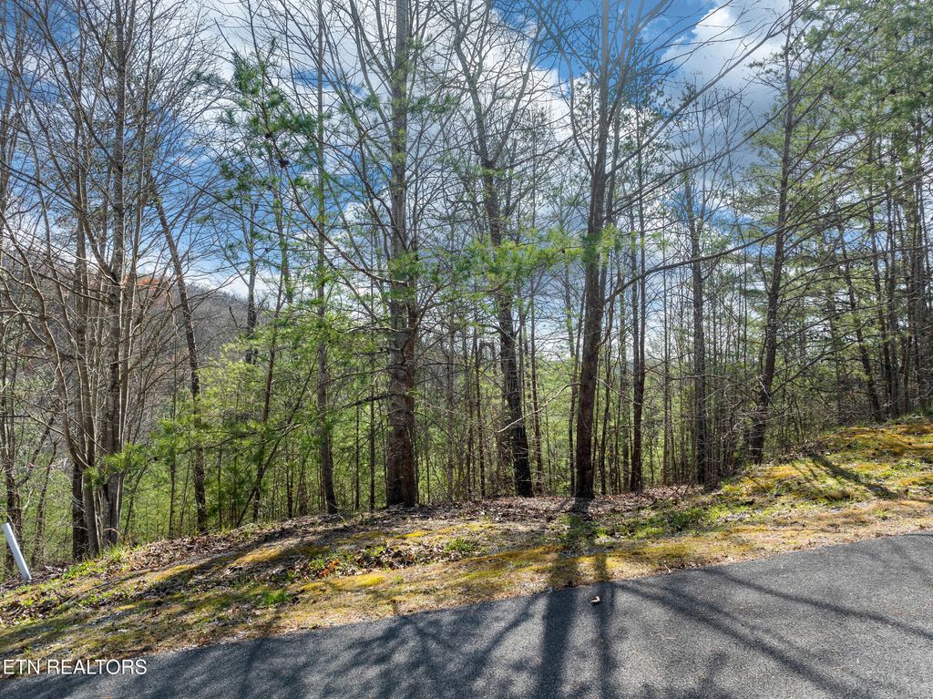 Photo of 227 Black Powder Court, Walland, TN 37886 (MLS # 1294880)