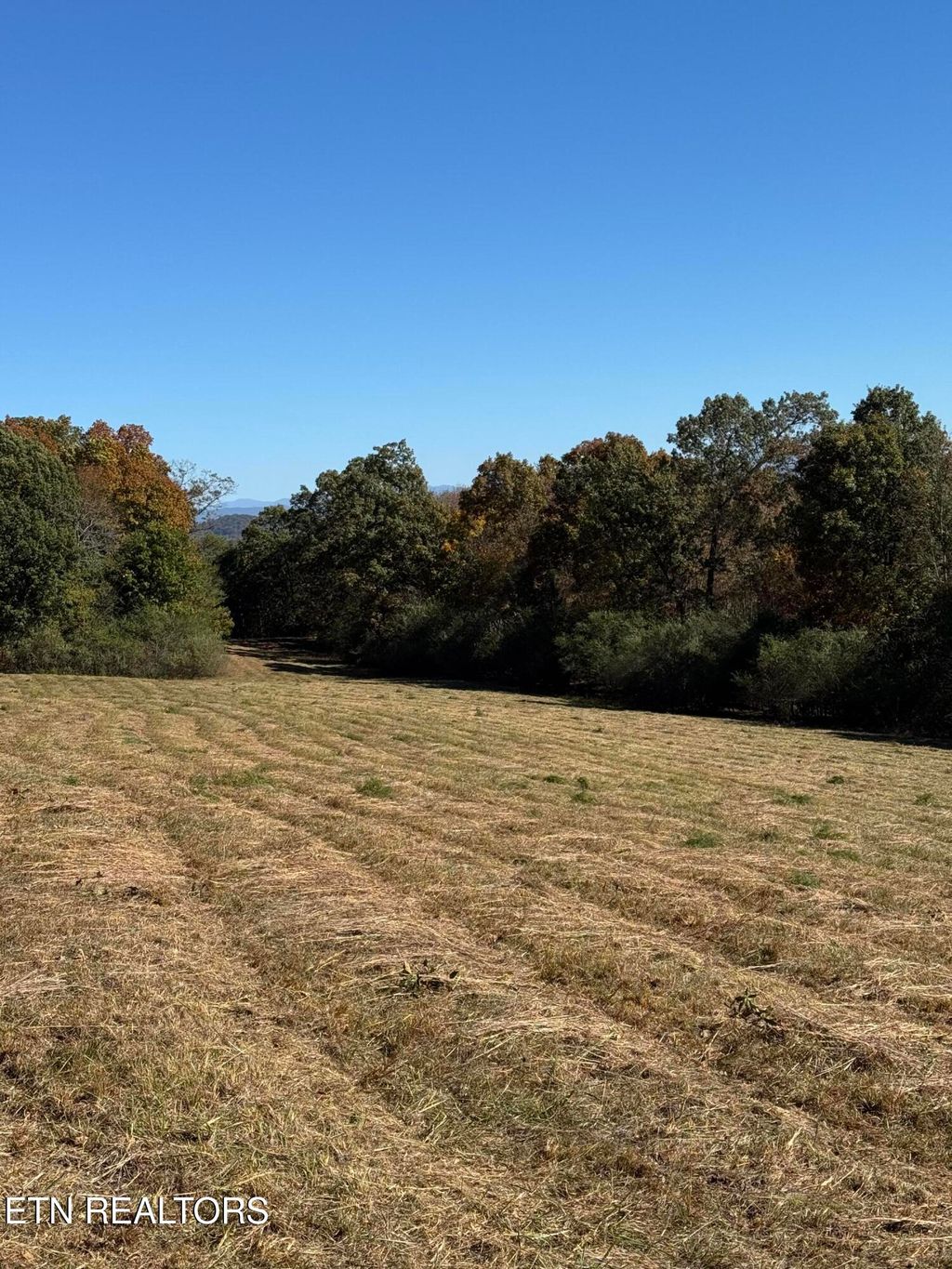 Photo of Irene Lane, Loudon, TN 37774 (MLS # 1320090)