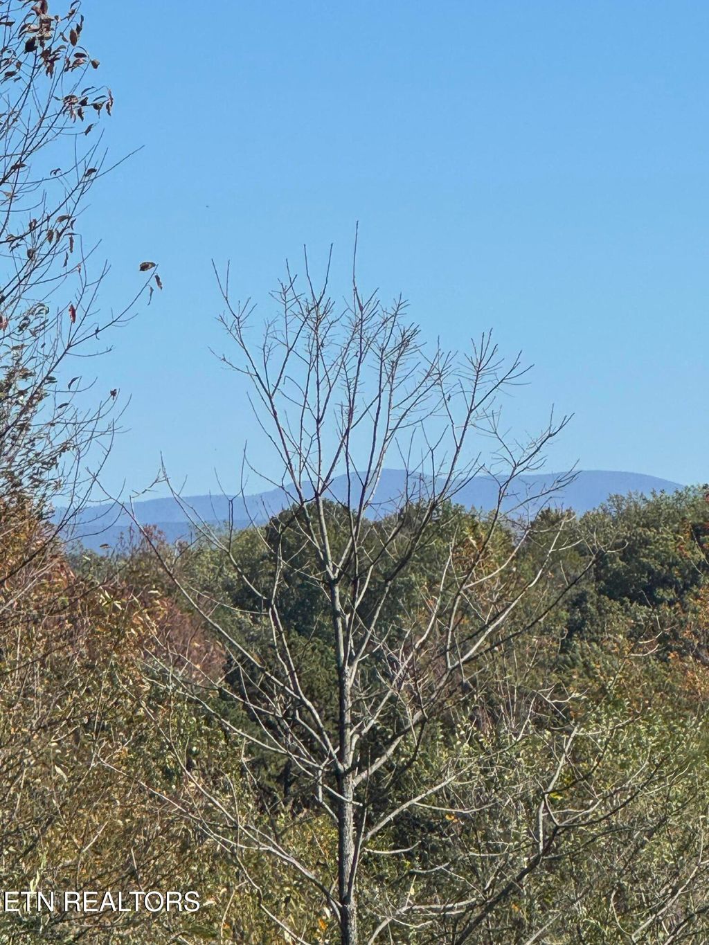 Photo of Irene Lane, Loudon, TN 37774 (MLS # 1320090)