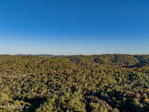 Tiny photo for Lee Cox Rd, Oakdale, TN 37829 (MLS # 1360200)