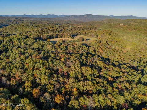 Tiny photo for Lee Cox Rd, Oakdale, TN 37829 (MLS # 1360200)