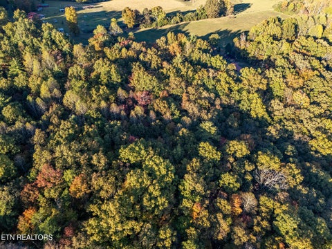 Tiny photo for Lee Cox Rd, Oakdale, TN 37829 (MLS # 1360200)