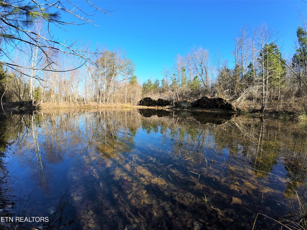 Photo of 0 Grassy Knob Rd, Robbins, TN 37852 (MLS # 1292499)