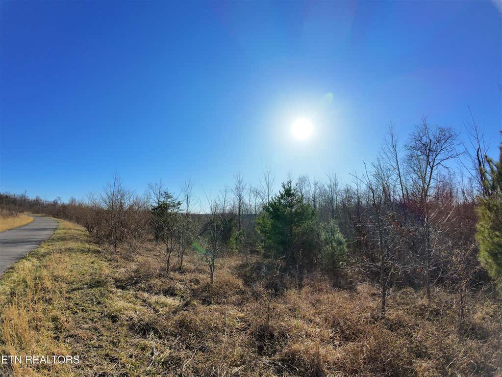 Photo of 0 Grassy Knob Rd, Robbins, TN 37852 (MLS # 1292499)