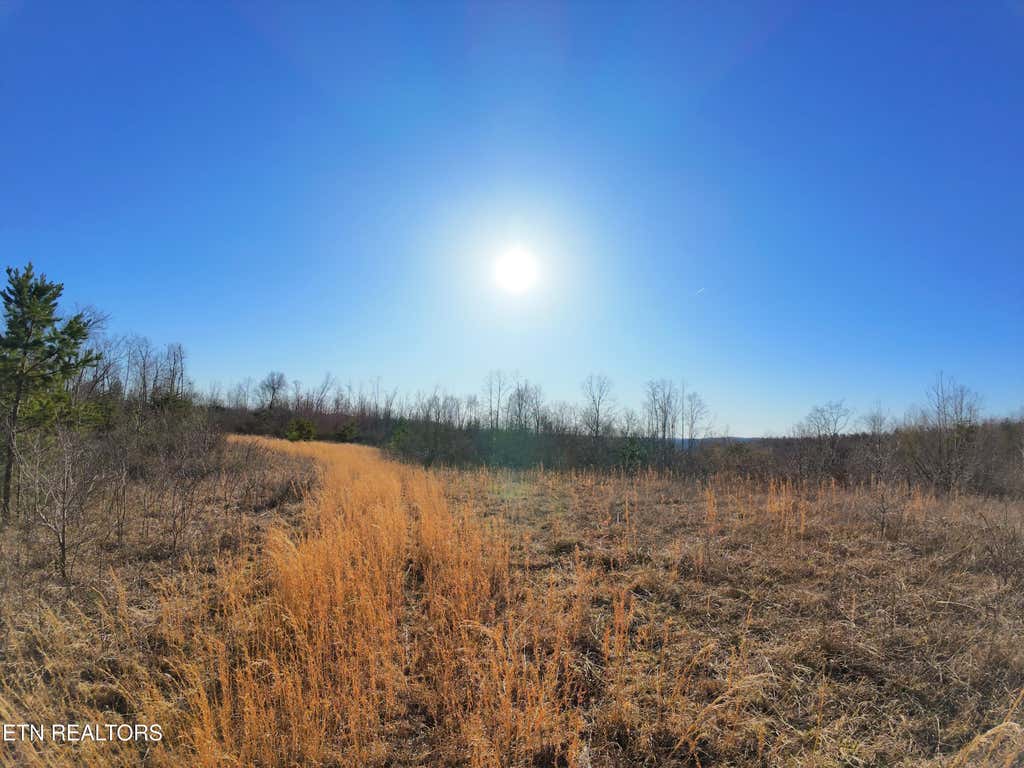 Photo of 0 Grassy Knob Rd, Robbins, TN 37852 (MLS # 1292499)