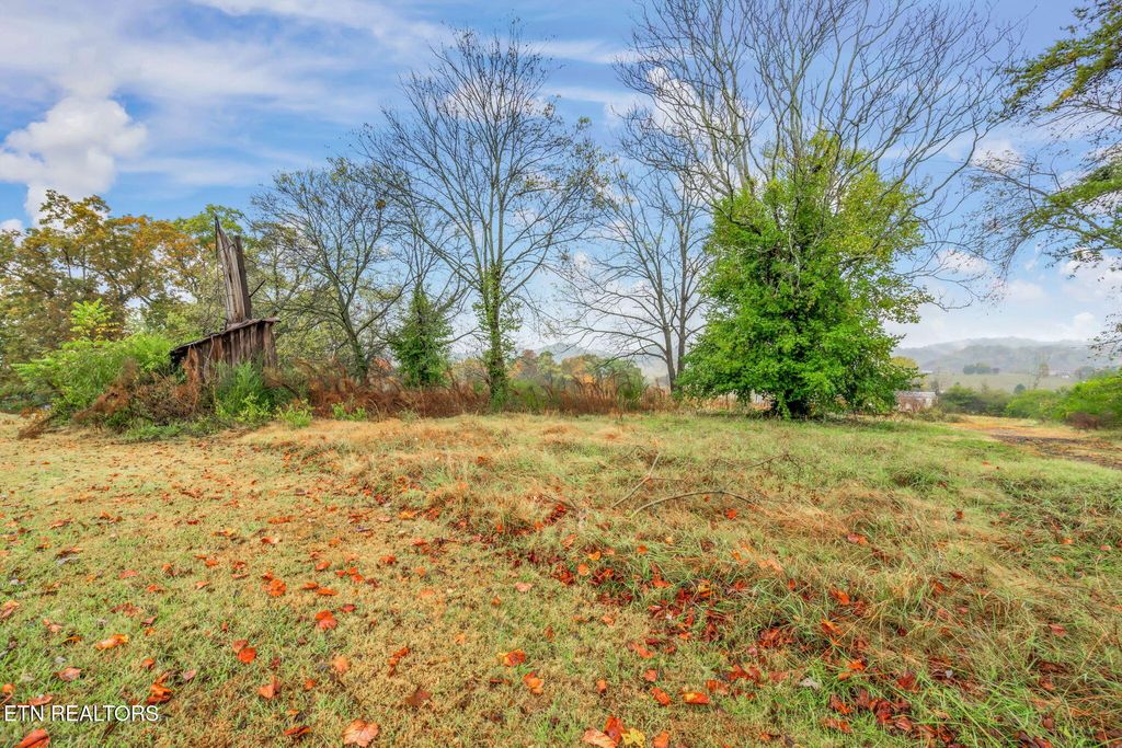 Photo of 1965 Old Sinking Creek Rd, Greenback, TN 37742 (MLS # 1319873)