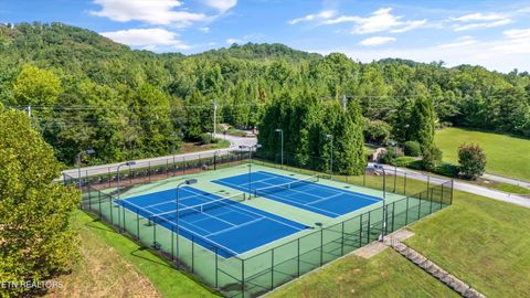 Tiny photo for 279 Serenity Drive, Harriman, TN 37748 (MLS # 1317388)