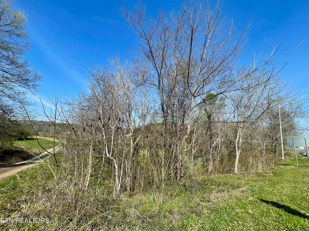 Photo of 3 Highway 68, Tellico Plains, TN 37385 (MLS # 1295483)