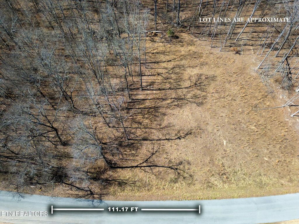 Photo of 223 Clear Springs Rd, Harriman, TN 37748 (MLS # 1292167)