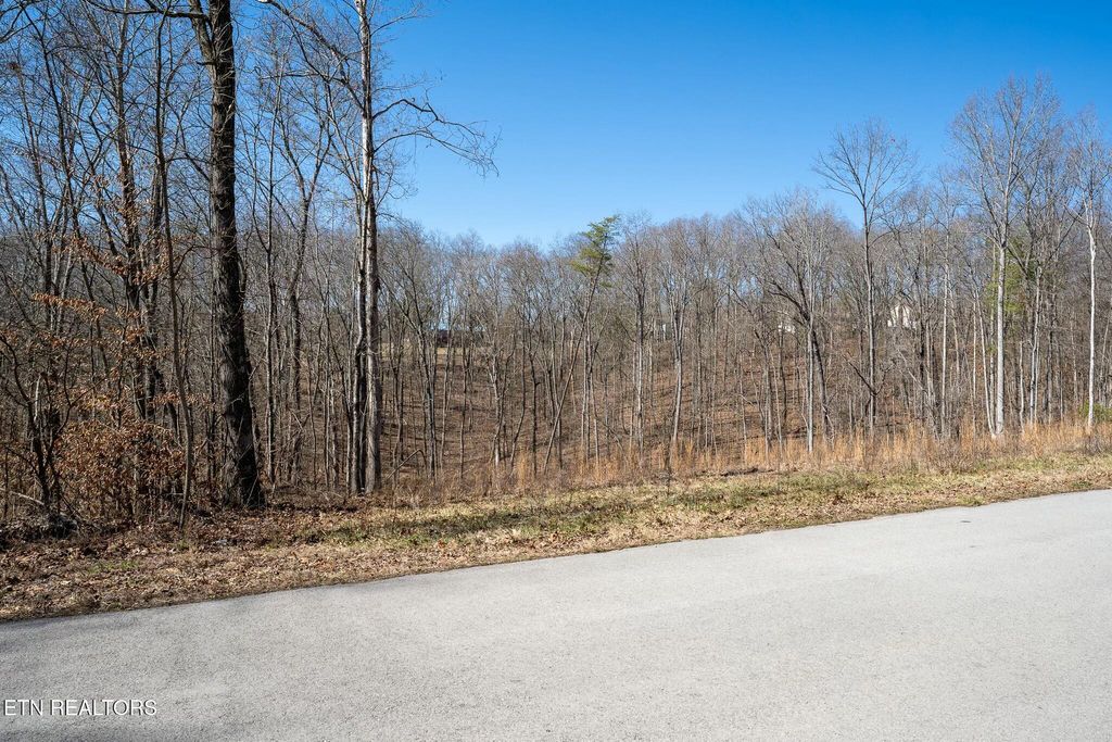 Photo of 223 Clear Springs Rd, Harriman, TN 37748 (MLS # 1292167)