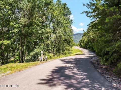 Tiny photo for 11 Walnut Bend Drive, Whitesburg, TN 37891 (MLS # 1326171)