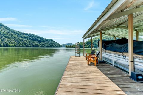 Tiny photo for 11 Walnut Bend Drive, Whitesburg, TN 37891 (MLS # 1326171)