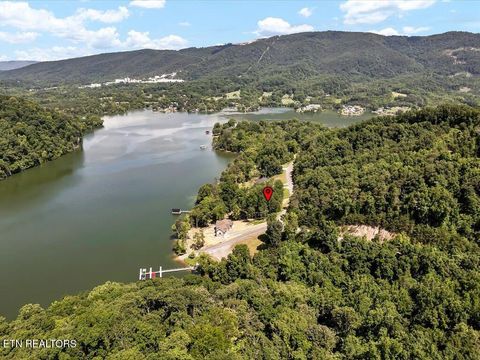 Tiny photo for 11 Walnut Bend Drive, Whitesburg, TN 37891 (MLS # 1326171)