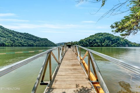 Tiny photo for 11 Walnut Bend Drive, Whitesburg, TN 37891 (MLS # 1326171)