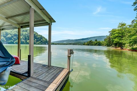 Tiny photo for 11 Walnut Bend Drive, Whitesburg, TN 37891 (MLS # 1326171)