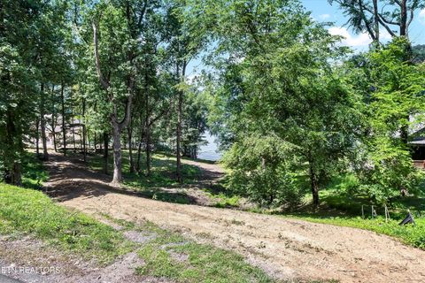 Tiny photo for 11 Walnut Bend Drive, Whitesburg, TN 37891 (MLS # 1326171)
