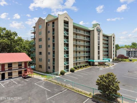 Tiny photo for 3215 N River Rd #502, Pigeon Forge, TN 37863 (MLS # 1342323)