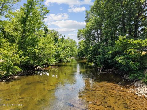 Tiny photo for 3215 N River Rd #502, Pigeon Forge, TN 37863 (MLS # 1342323)