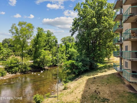 Tiny photo for 3215 N River Rd #502, Pigeon Forge, TN 37863 (MLS # 1342323)
