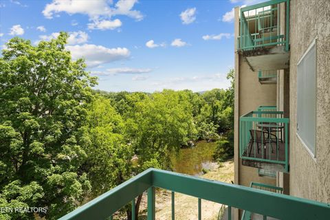 Tiny photo for 3215 N River Rd #502, Pigeon Forge, TN 37863 (MLS # 1342323)