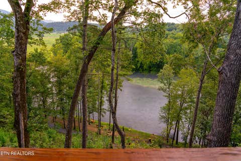 Tiny photo for 383 S Tva Rd, Bristol, TN 37620 (MLS # 1349842)