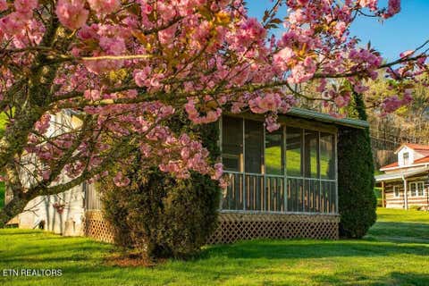 Tiny photo for 383 S Tva Rd, Bristol, TN 37620 (MLS # 1349842)