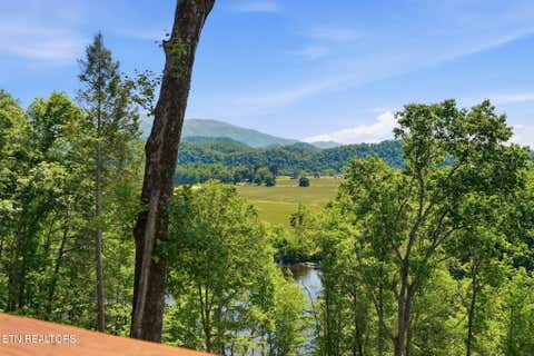 Tiny photo for 383 S Tva Rd, Bristol, TN 37620 (MLS # 1349842)
