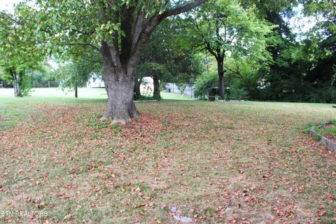 Tiny photo for 202 Grata Rd, Knoxville, TN 37914 (MLS # 1355497)