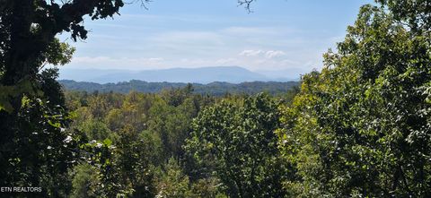 Tiny photo for 2141 Kerr Rd, Sevierville, TN 37876 (MLS # 1316306)