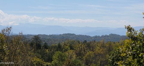 Tiny photo for 2141 Kerr Rd, Sevierville, TN 37876 (MLS # 1316306)